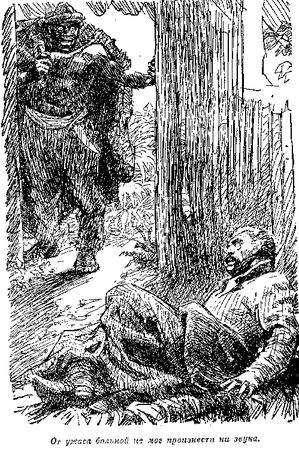 Томас Рид - Собрание сочинений, том 6. Мароны. Всадник без головы