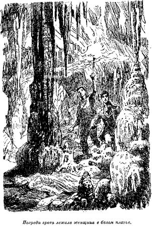 Томас Рид - Собрание сочинений, том 6. Мароны. Всадник без головы