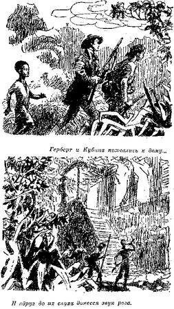 Томас Рид - Собрание сочинений, том 6. Мароны. Всадник без головы