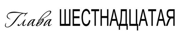 Темная дикая ночь