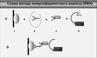 Вячеслав Тарантул - Имя ему СПИД: Четвертый всадник Апокалипсиса