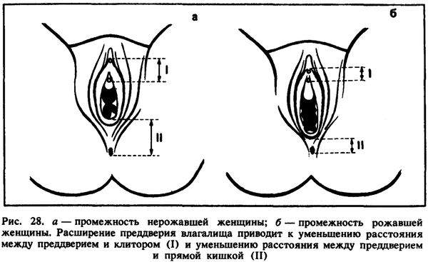 Михалина Вислоцкая - Искусство любви