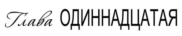 Темная дикая ночь