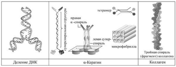 АНАСТАСИЯ НОВЫХ - АллатРа