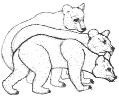 Роберт Лесли - Медведи и Я