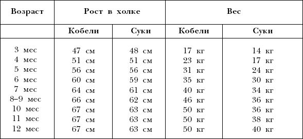 Наталья Сухинина - Ротвейлеры