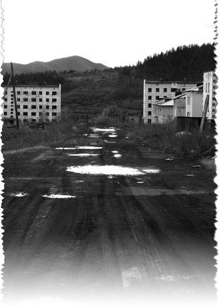 Лиля Гурьянова, Дмитрий Васильев - Мертвая зона. Города-призраки: записки Сталкера