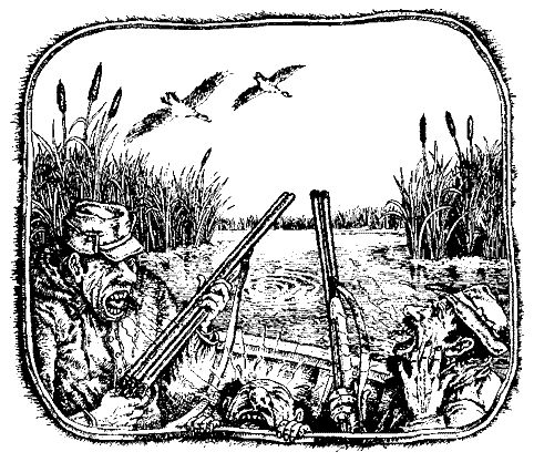 Эдуард Скобелев - Необыкновенные приключения Арбузика и Бебешки