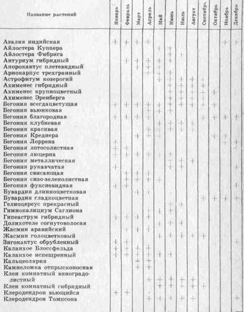 Даниил Юхимчук - Комнатное цветоводство
