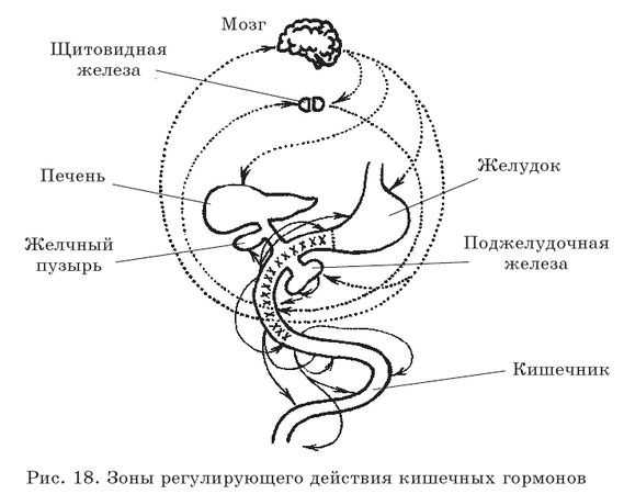 Геннадий Малахов - Очищение организма и правильное питание