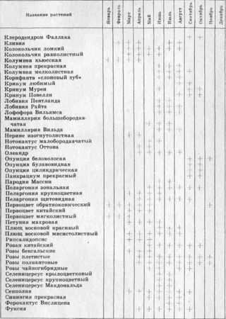 Даниил Юхимчук - Комнатное цветоводство