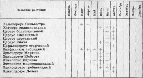 Даниил Юхимчук - Комнатное цветоводство