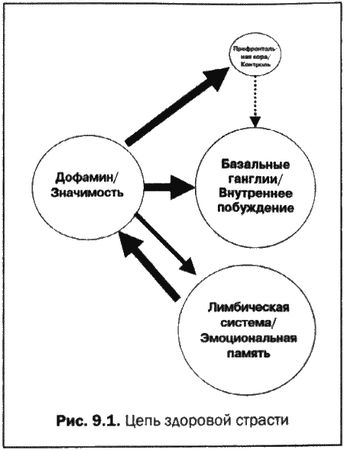 Дэниэл Амен - Великолепный мозг в любом возрасте