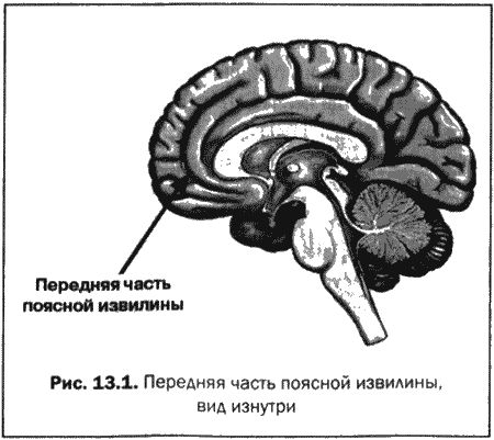 Дэниэл Амен - Великолепный мозг в любом возрасте