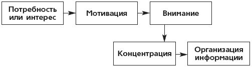 Как быстро развить память для...