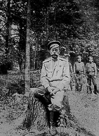 Владислав Гончаров - 1917. Разложение армии