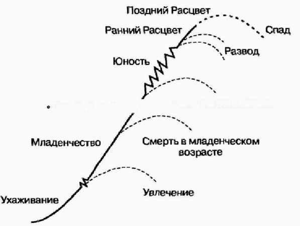 Ицхак Адизес - Управление жизненным циклом корпорации