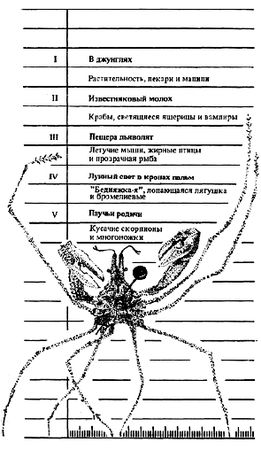 Айвен Сандерсон - Карибские сокровища