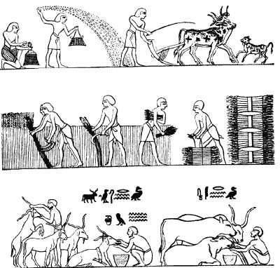 Дмитрий Калюжный, Сергей Валянский - Другая история Средневековья. От древности...