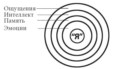 Дмитрий Верищагин - Влияние. Система навыков Дальнейшего ЭнергоИнформационного...