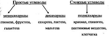 Жиротопка
