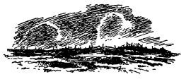 Звезда (Сборник)