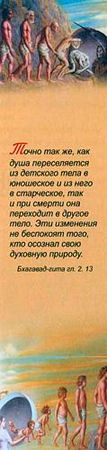 Александр Хакимов - Реинкарнация. Размышления
