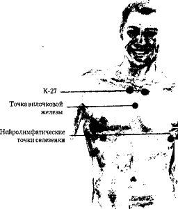 Донна Иден, Дэвид Фейнштейн - Энергетическая медицина