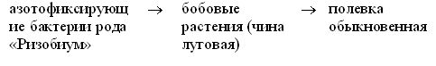 Примерные вопросы и ответы к экзамену...