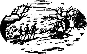 Андрэ Нортон - Янус (сборник)