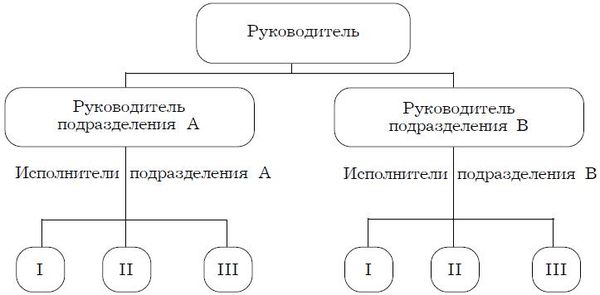 Вячеслав Полукаров, Валентин Петрушин - Психология менеджмента