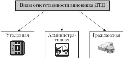 Алена Нариньяни, Алеся Довлатова - Эй, инспектор, ты не прав! Все о том, как...