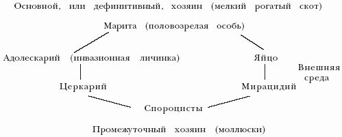 Мария Дорош - Болезни овец и коз