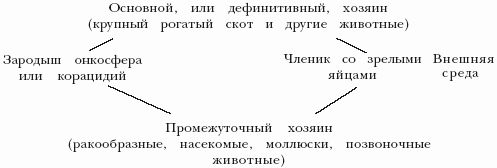 Мария Дорош - Болезни овец и коз