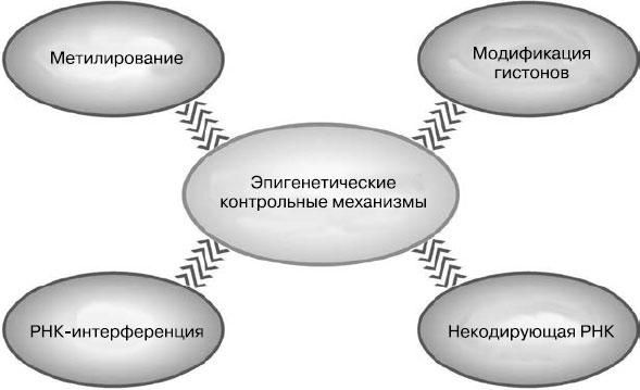 Фрэнк Райан - Таинственный геном человека