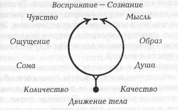 Александр Лоуэн - Удовольствие. Творческий подход к жизни