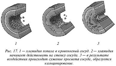 Геннадий Малахов - Очищение организма и здоровье: современный подход