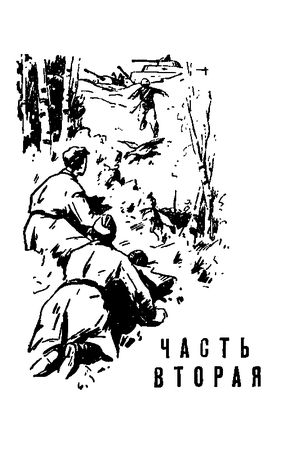 Николай Сладков - Лесные тайнички (сборник)