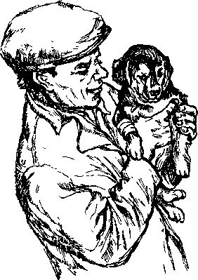 Джеймс Хэрриот - Среди Йоркширских холмов