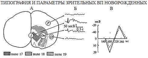 Марьяна Безруких, Валентин Сонькин и др. - Возрастная физиология: (Физиология...