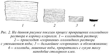 Геннадий Малахов - Очищение организма и здоровье: современный подход