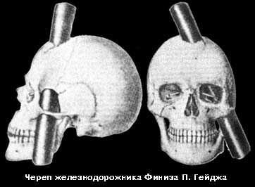Юрий Мухин - Не надейся - не умрешь!