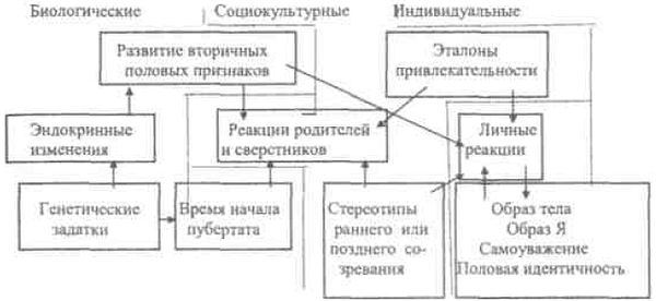 Лидия Шнейдер - Девиантное поведение детей и подростков