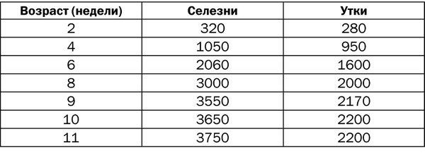 Юрий Пернатьев - Разведение и выращивание уток, индоуток и гусей обычных пород...