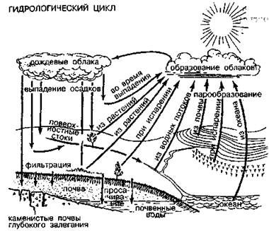 Поль Брэгг, Патриция Брэгг - Шокирующая правда о воде и соли