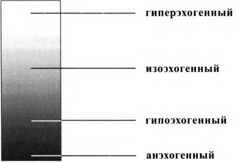 Андрей Ушаков - Восстановление щитовидной железыРуководство для пациентов