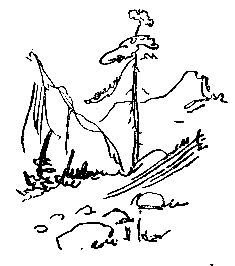 Эрнест Сетон-Томпсон - Моя жизнь (Художник В. Садков)