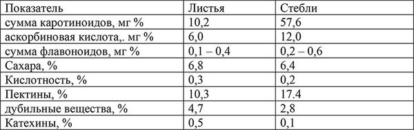 Алевтина Корзунова - Письма здоровья: золотой ус
