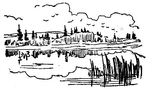 Эрнест Сетон-Томпсон - Моя жизнь (Художник В. Садков)