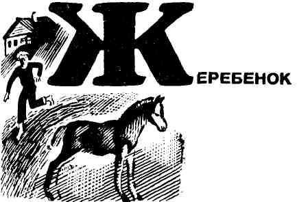 Анатолий Устюгов - В бобровом краю
